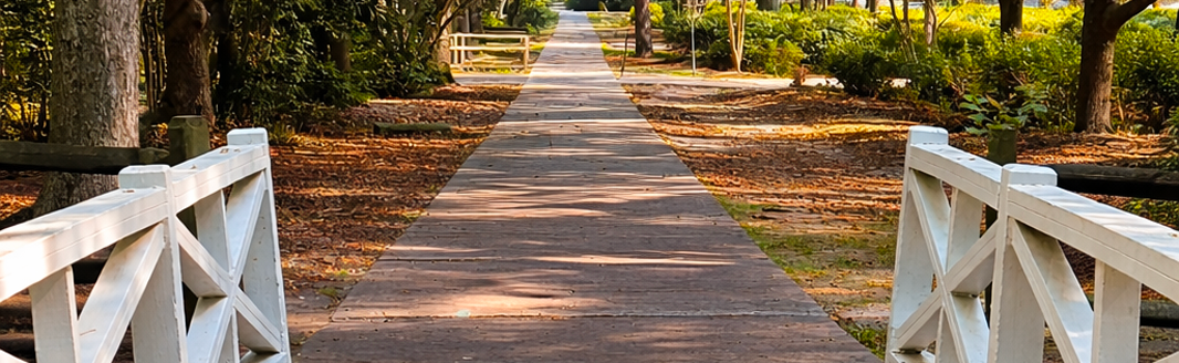 The Summerville Lifestyle